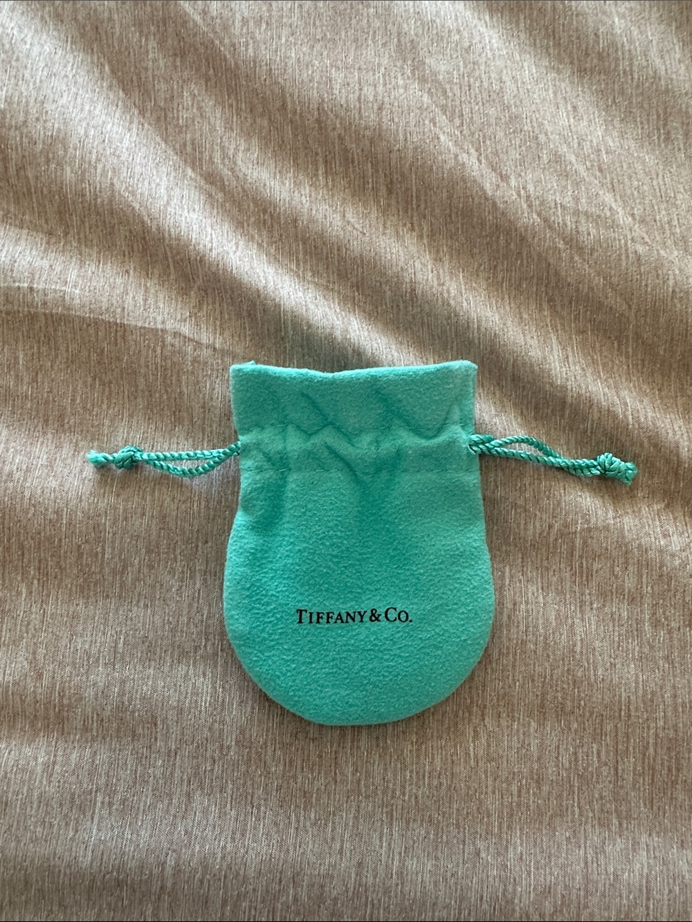 Tiffany & Co. Robin's Egg Blue Suede Drawstring Pouch